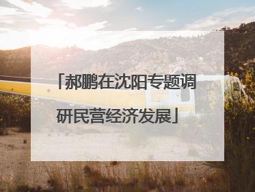 郝鹏在沈阳专题调研民营经济发展
