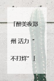 醉美夜郑州 活力“不打烊”