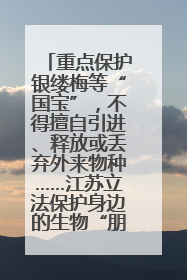 重点保护银缕梅等“国宝”，不得擅自引进、释放或丢弃外来物种……江苏立法保护身边的生物“朋友圈”