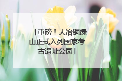 重磅！大冶铜绿山正式入列国家考古遗址公园
