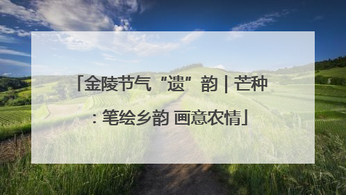 金陵节气“遗”韵｜芒种：笔绘乡韵 画意农情