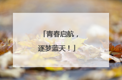青春启航，逐梦蓝天！