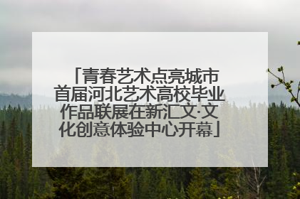 青春艺术点亮城市 首届河北艺术高校毕业作品联展在新汇文·文化创意体验中心开幕