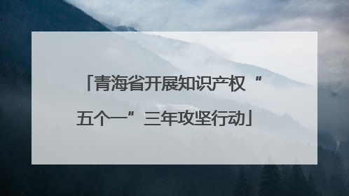 青海省开展知识产权“五个一”三年攻坚行动
