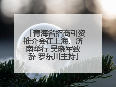 青海省招商引资推介会在上海、济南举行 吴晓军致辞 罗东川主持