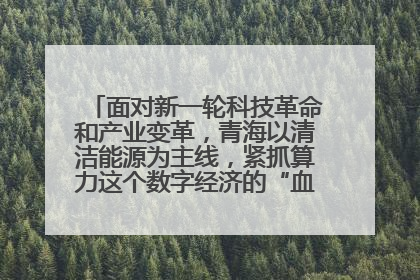 面对新一轮科技革命和产业变革，青海以清洁能源为主线，紧抓算力这个数字经济的“血液”、科技主权的“筹码”、产业升级的“杠杆”、绿色转型的“支点”，勇于撬动国家“双碳”战略、“东数西算”工程重大发展新机遇