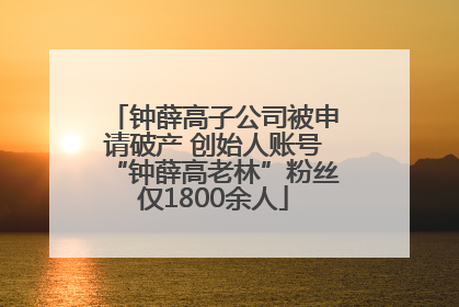 钟薛高子公司被申请破产 创始人账号“钟薛高老林”粉丝仅1800余人