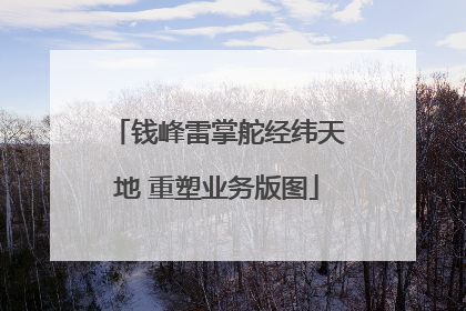 钱峰雷掌舵经纬天地 重塑业务版图