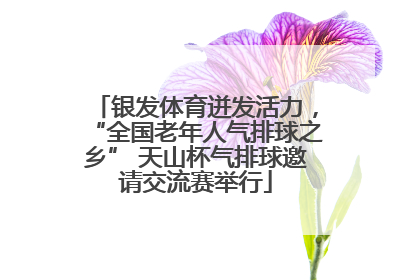 银发体育迸发活力，“全国老年人气排球之乡” 天山杯气排球邀请交流赛举行