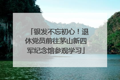 银发不忘初心！退休党员前往茅山新四军纪念馆参观学习