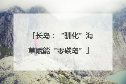 长岛：“驯化”海草赋能“零碳岛”