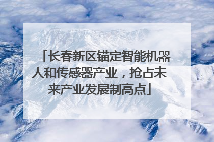 长春新区锚定智能机器人和传感器产业，抢占未来产业发展制高点
