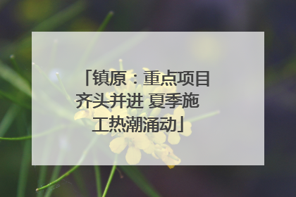 镇原：重点项目齐头并进 夏季施工热潮涌动