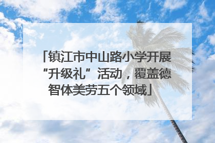 镇江市中山路小学开展“升级礼”活动，覆盖德智体美劳五个领域
