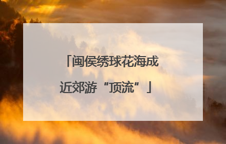 闽侯绣球花海成近郊游“顶流”