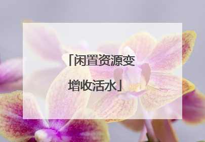 闲置资源变增收活水