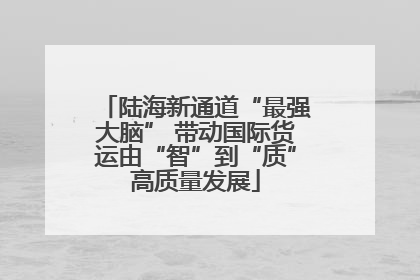 陆海新通道“最强大脑” 带动国际货运由“智”到“质”高质量发展