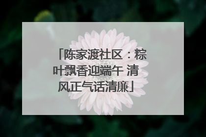 陈家渡社区：粽叶飘香迎端午 清风正气话清廉