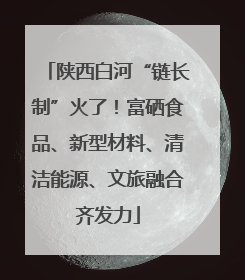 陕西白河“链长制”火了！富硒食品、新型材料、清洁能源、文旅融合齐发力