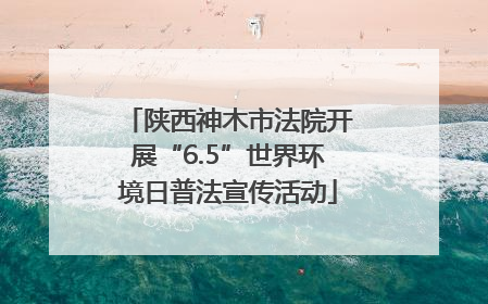 陕西神木市法院开展“6.5”世界环境日普法宣传活动