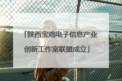 陕西宝鸡电子信息产业创新工作室联盟成立
