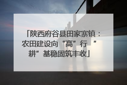 陕西府谷县田家寨镇：农田建设向“高”行 “耕”基稳固筑丰收