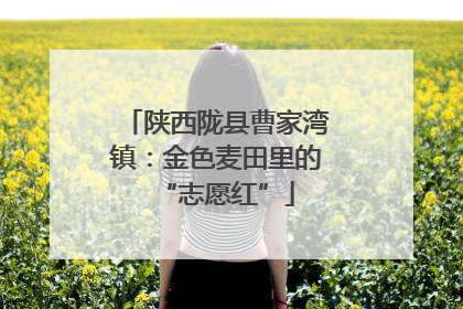 陕西陇县曹家湾镇：金色麦田里的“志愿红”