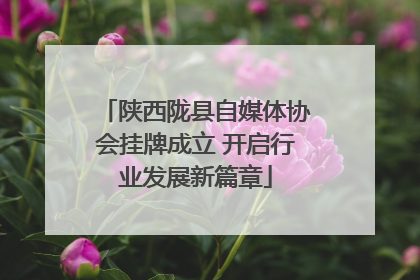 陕西陇县自媒体协会挂牌成立 开启行业发展新篇章