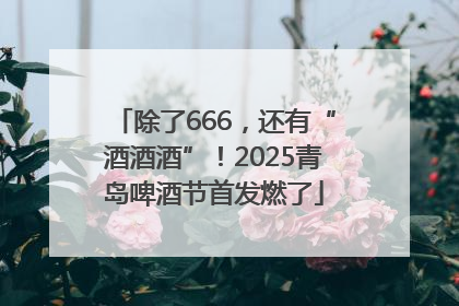 除了666，还有“酒酒酒”！2025青岛啤酒节首发燃了