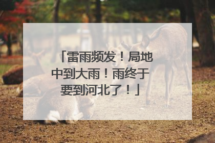 雷雨频发！局地中到大雨！雨终于要到河北了！