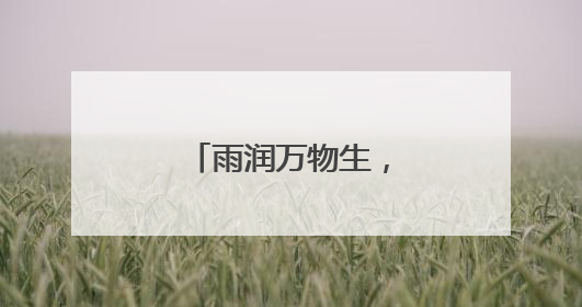 雨润万物生，湖畔舞翩跹
