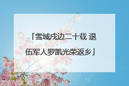 雪域戍边二十载 退伍军人罗凯光荣返乡