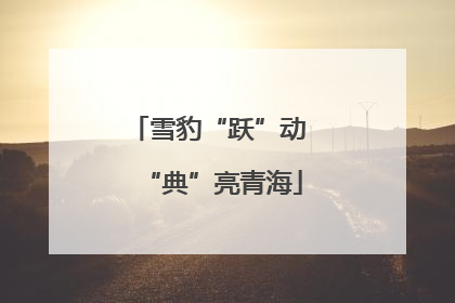 雪豹“跃”动 “典”亮青海
