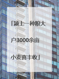 颍上一种粮大户3000余亩小麦喜丰收