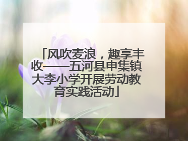 风吹麦浪，趣享丰收——五河县申集镇大李小学开展劳动教育实践活动