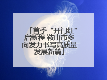 首季“开门红”启新程 鞍山市多向发力书写高质量发展新篇