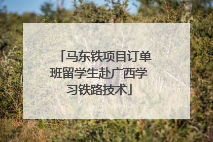 马东铁项目订单班留学生赴广西学习铁路技术