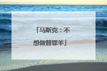 马斯克：不想做替罪羊