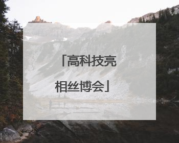 高科技亮相丝博会