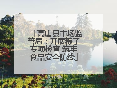 高唐县市场监管局：开展粽子专项检查 筑牢食品安全防线