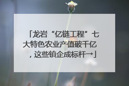 龙岩“亿链工程”七大特色农业产值破千亿，这些镇企成标杆→