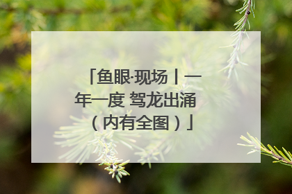 鱼眼·现场丨一年一度 驾龙出涌（内有全图）