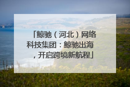 鲸驰（河北）网络科技集团：鲸驰出海，开启跨境新航程