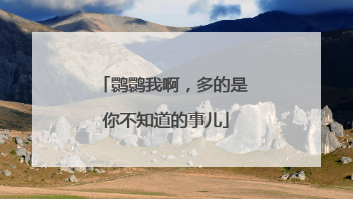鹮鹮我啊，多的是你不知道的事儿