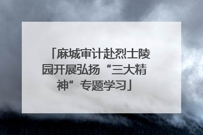 麻城审计赴烈士陵园开展弘扬“三大精神”专题学习