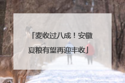 麦收过八成！安徽夏粮有望再迎丰收