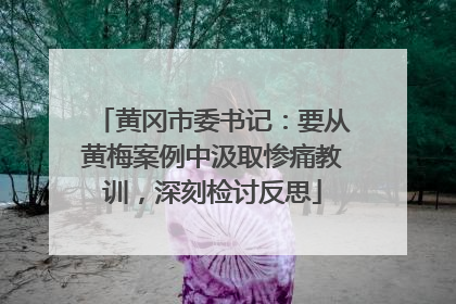 黄冈市委书记：要从黄梅案例中汲取惨痛教训，深刻检讨反思