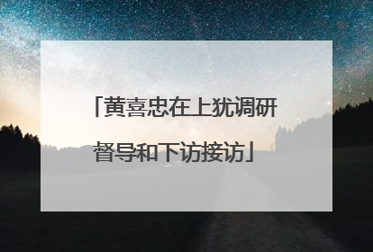 黄喜忠在上犹调研督导和下访接访