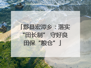 黟县宏潭乡：落实“田长制” 守好良田保“粮仓”