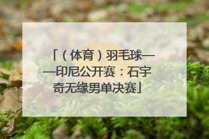 （体育）羽毛球——印尼公开赛：石宇奇无缘男单决赛